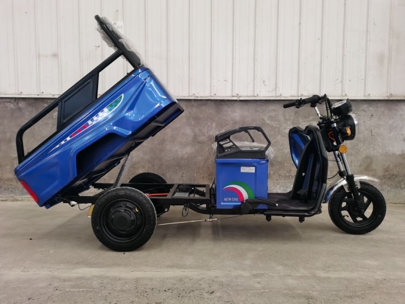 Triciclu electric C17 1000W 60V cu remorcă