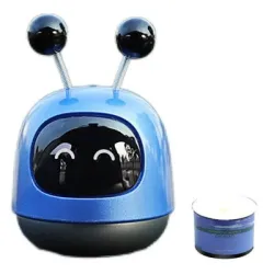 Accesorii auto