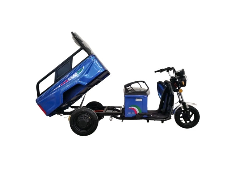 Triciclu electric C17 1000W 60V cu remorcă